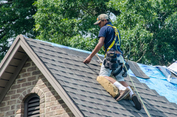Best Metal Roofing Contractor  in Las Palmas Ii, TX